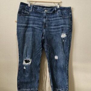 Maurices Women's Distressed Blue Jeans 22W